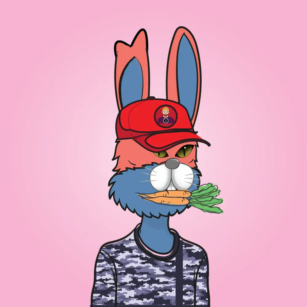 Frabbit #143 NFT on Algorand