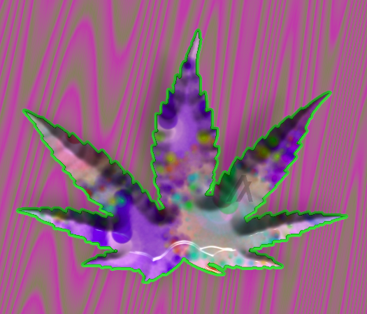 An image of Acid Algo Leaves 17