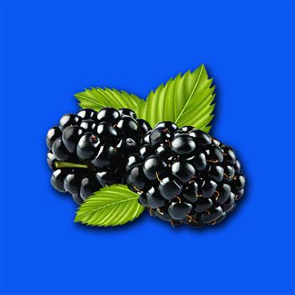 Blackberry#1