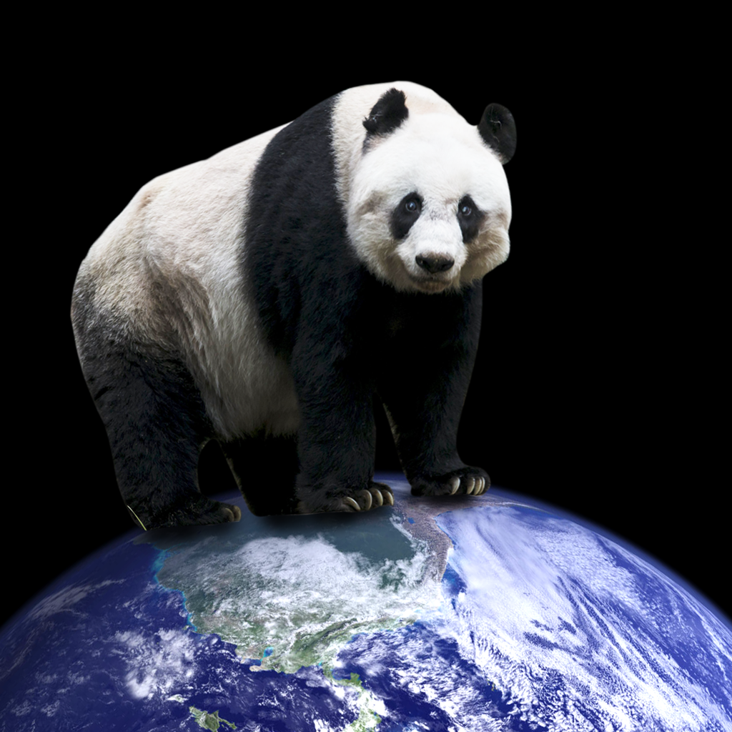 Panda the Ruler of Earth NFT on Algorand