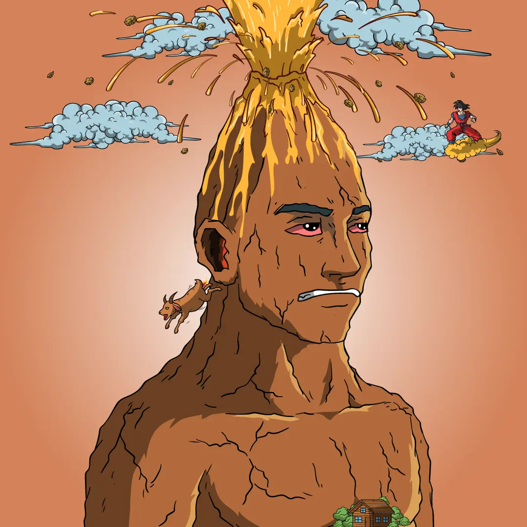 Volcano Boyz #502 NFT on Algorand