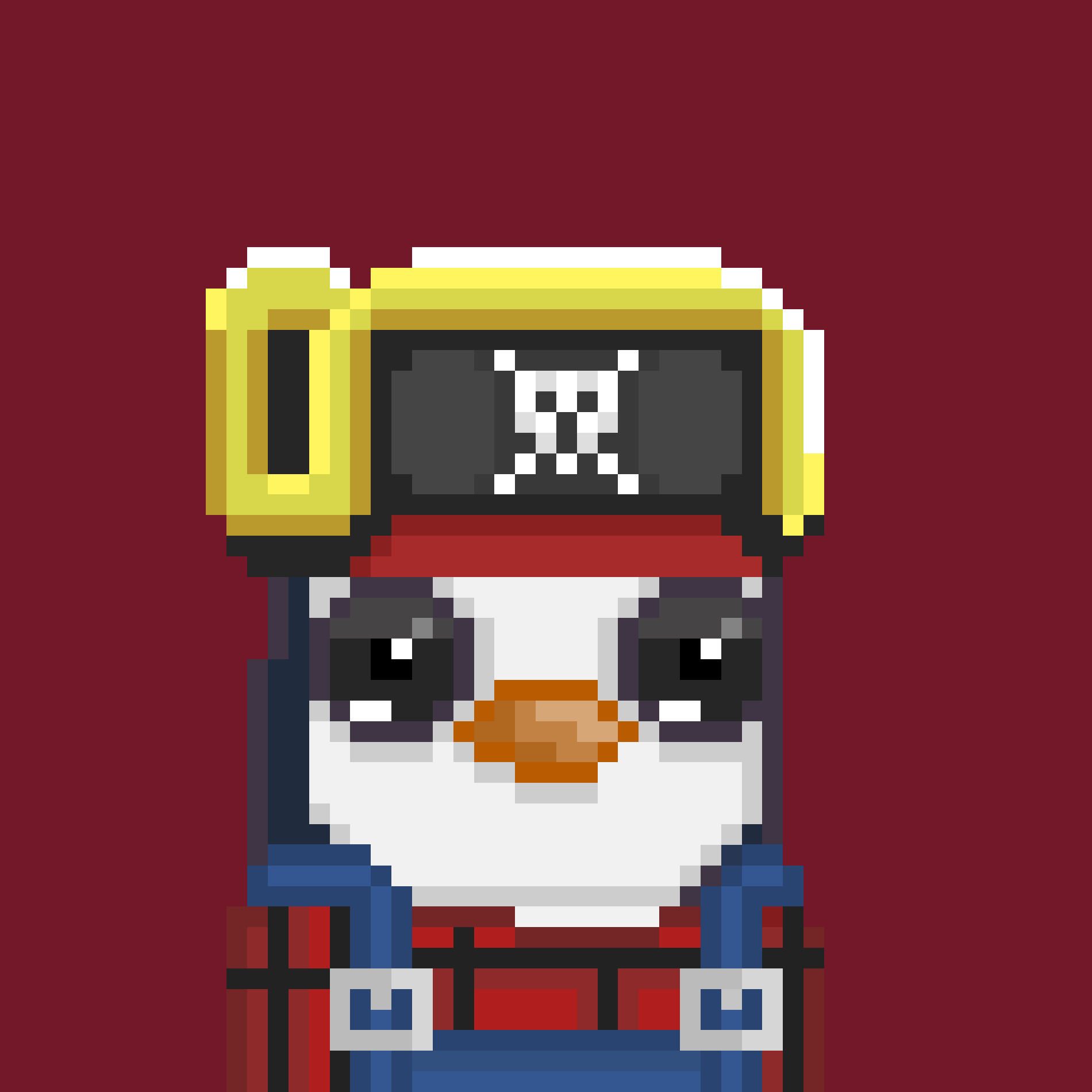 Algo Pengu #1008 NFT on Algorand