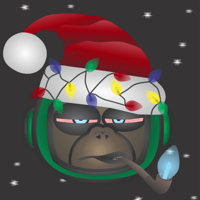 Space Monkey Santa