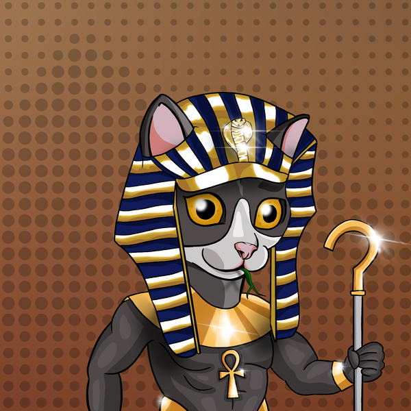 An image of Anubis The Feline