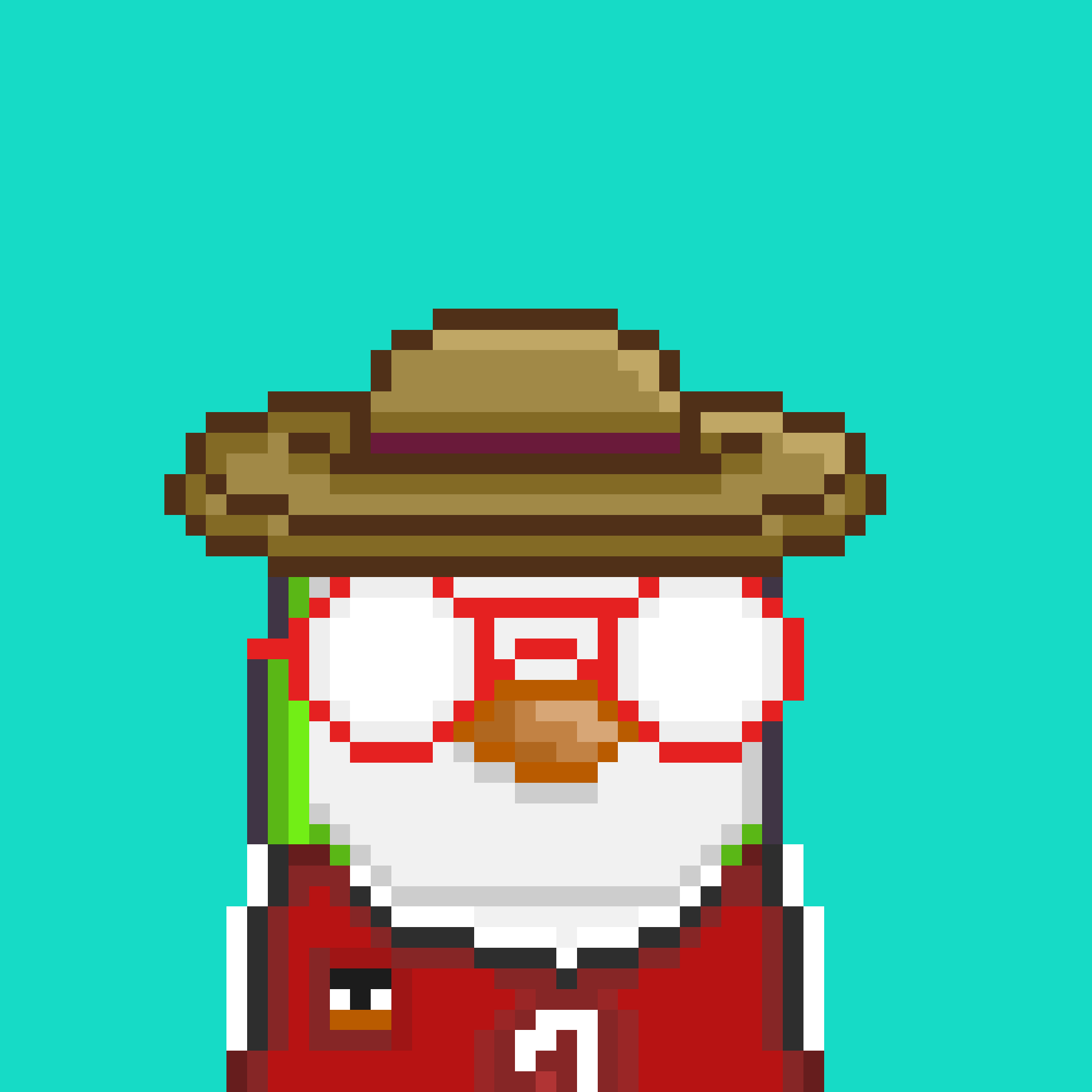 Algo Pengu #206 NFT on Algorand