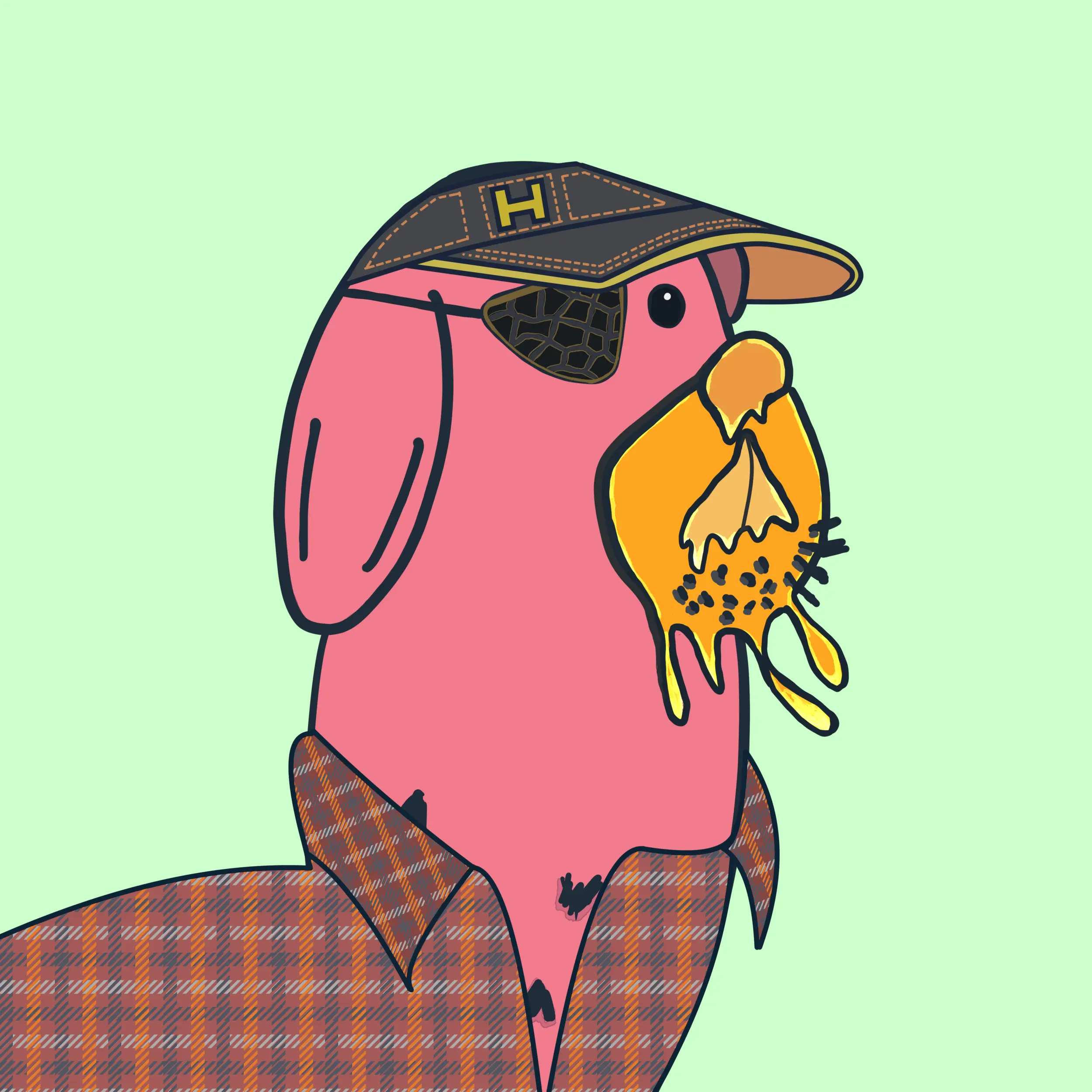 HODLR #1147 NFT on Algorand