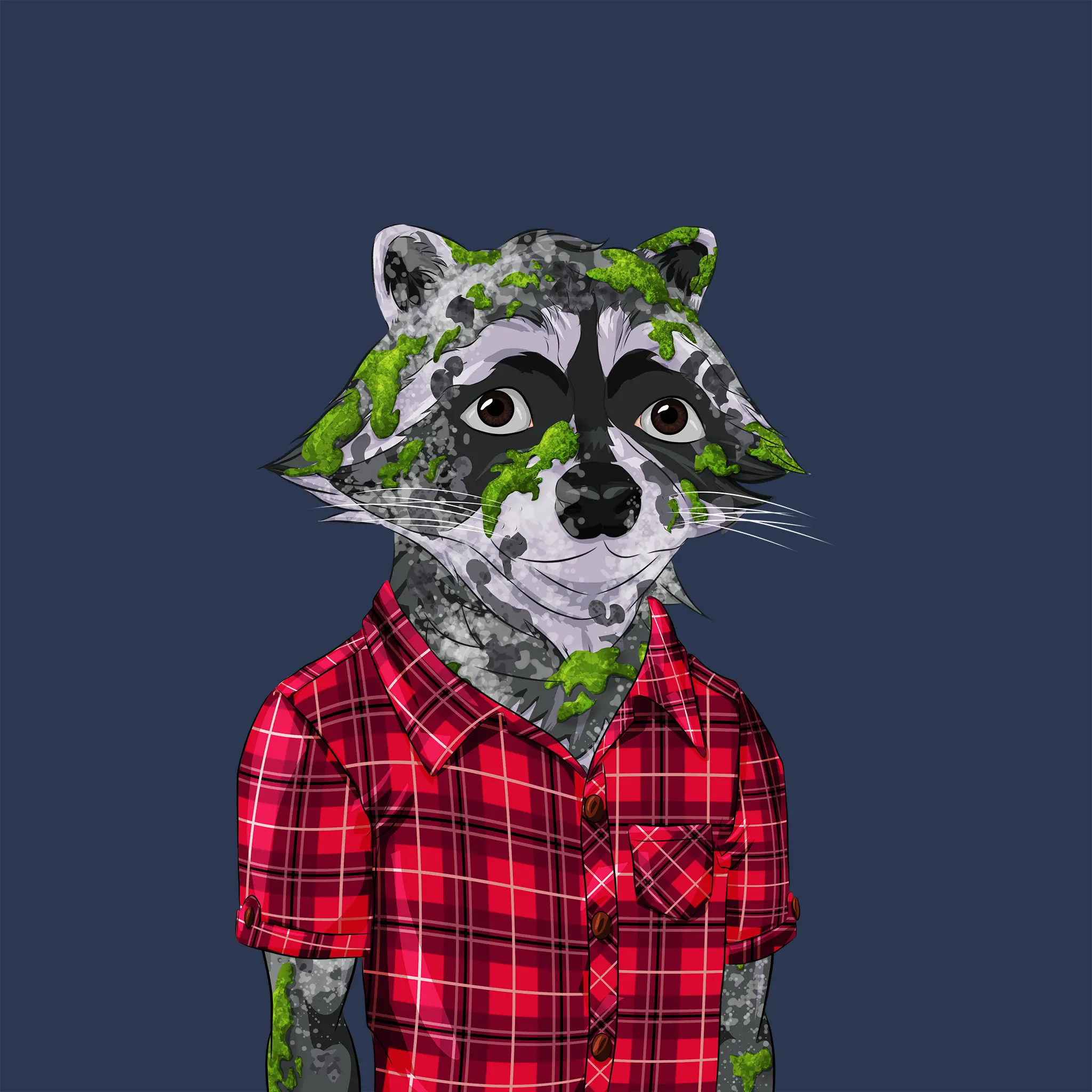 AlgoRaccoon #1407 NFT on Algorand