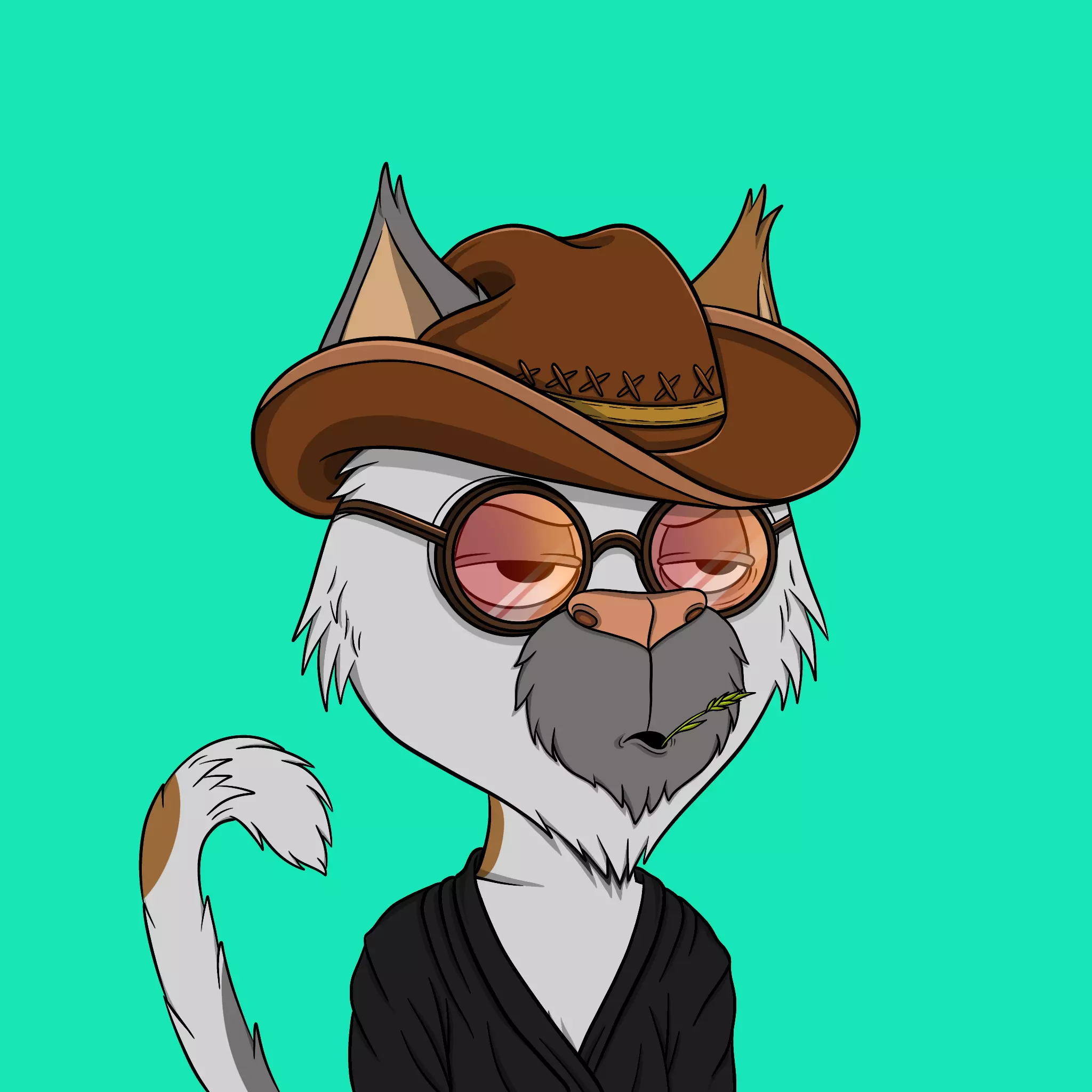 Totally Average Cats #2019 NFT on Algorand