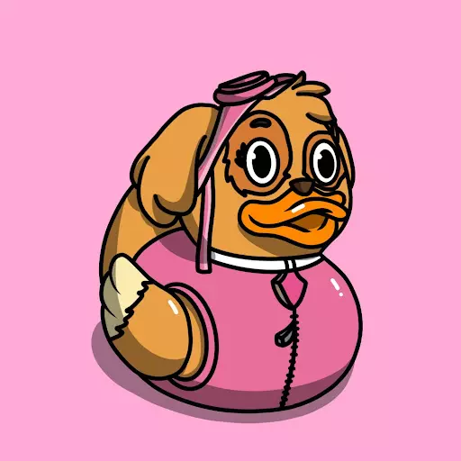 AlgoDuckies #234 NFT on Algorand
