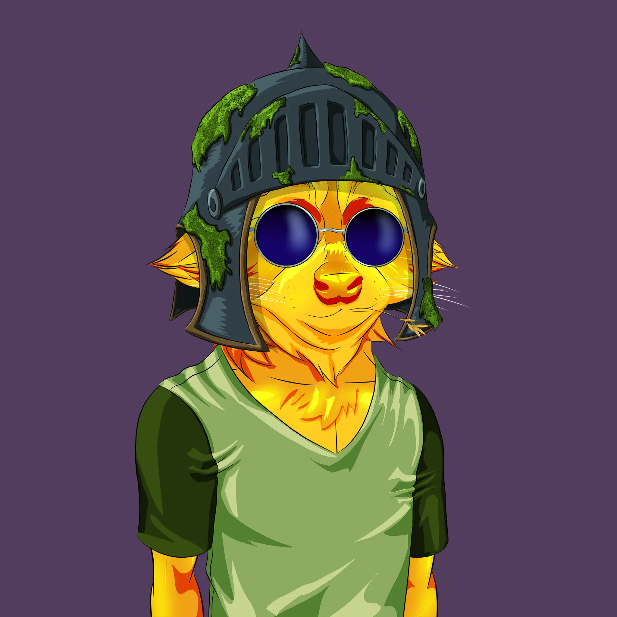 AlgoRaccoon #1186 NFT on Algorand