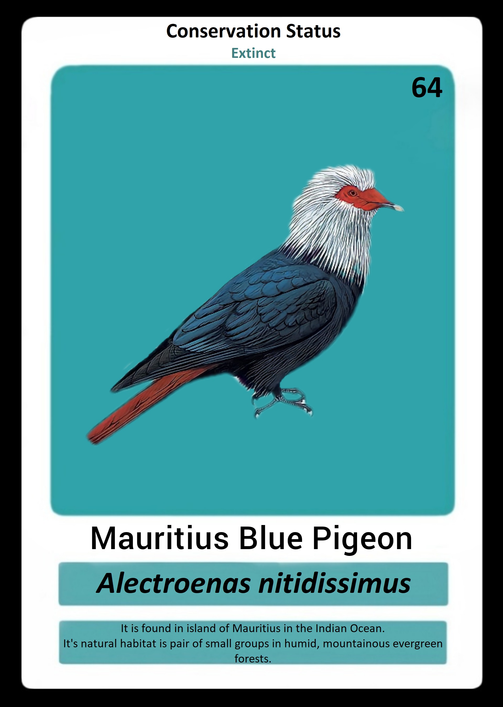 Mauritius Blue Pigeon NFT on Algorand