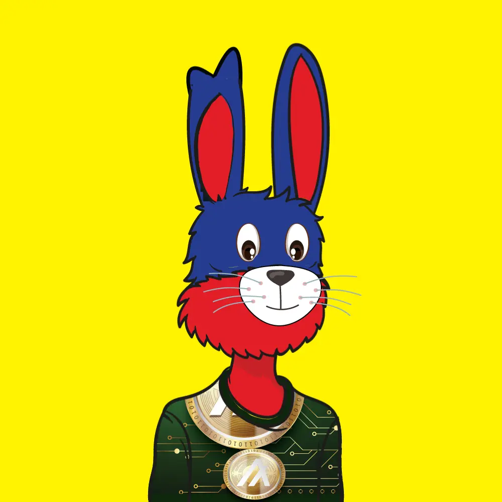 Frabbit #153 NFT on Algorand