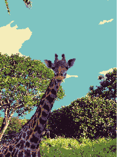 Candid Giraffe