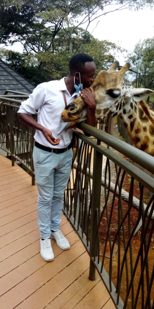LIVE WITH GIRAFFES NFT on Algorand