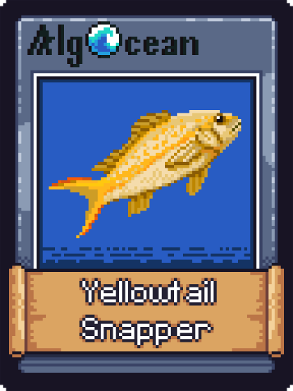Yellowtail Snapper