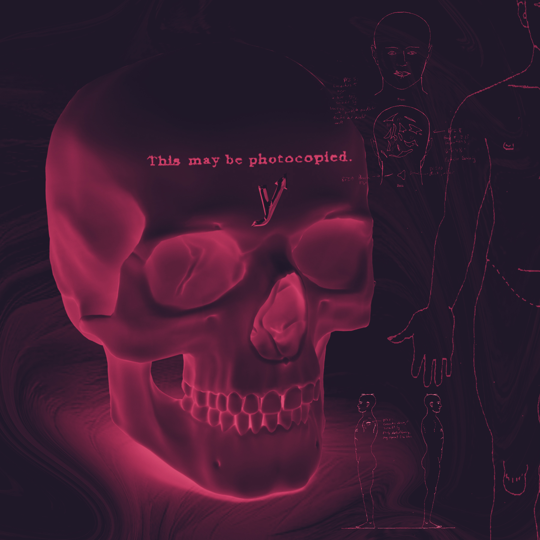 SKULL D NFT on Algorand
