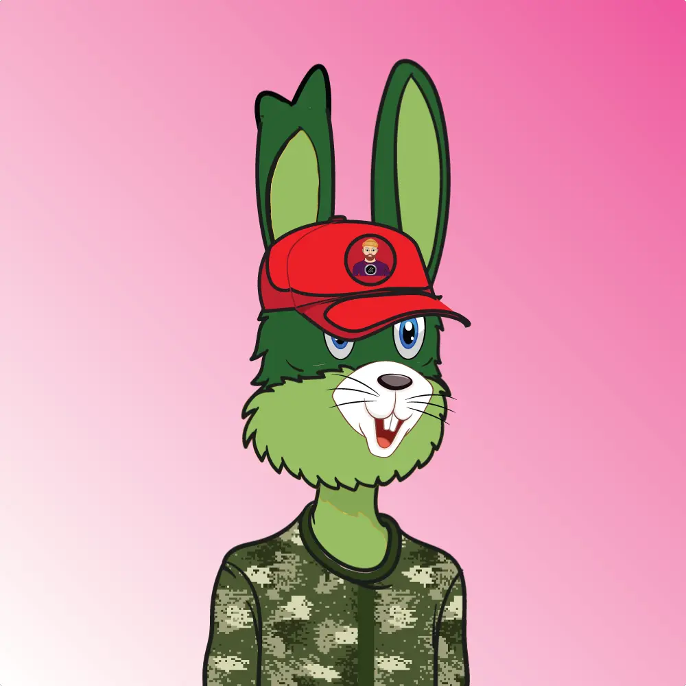 Frabbit #522 NFT on Algorand