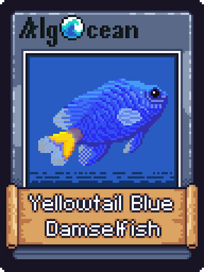 Yellowtail Blue Damselfish