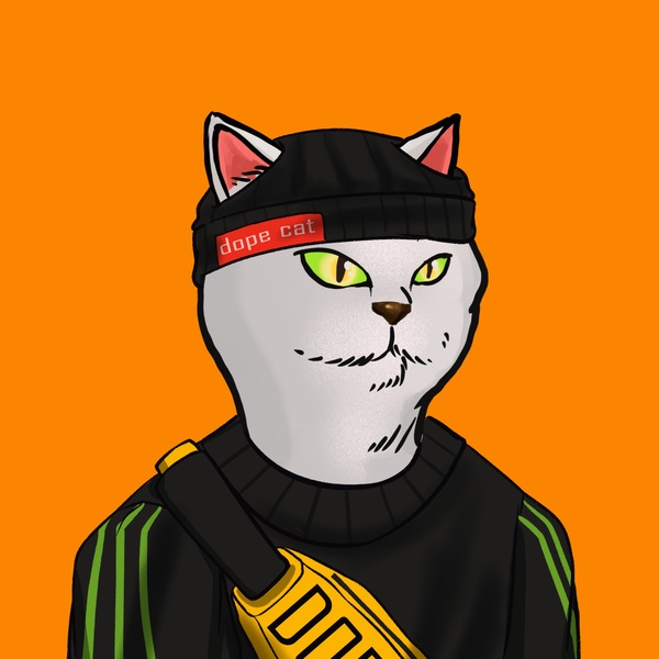 An image of Dope Cat#0013