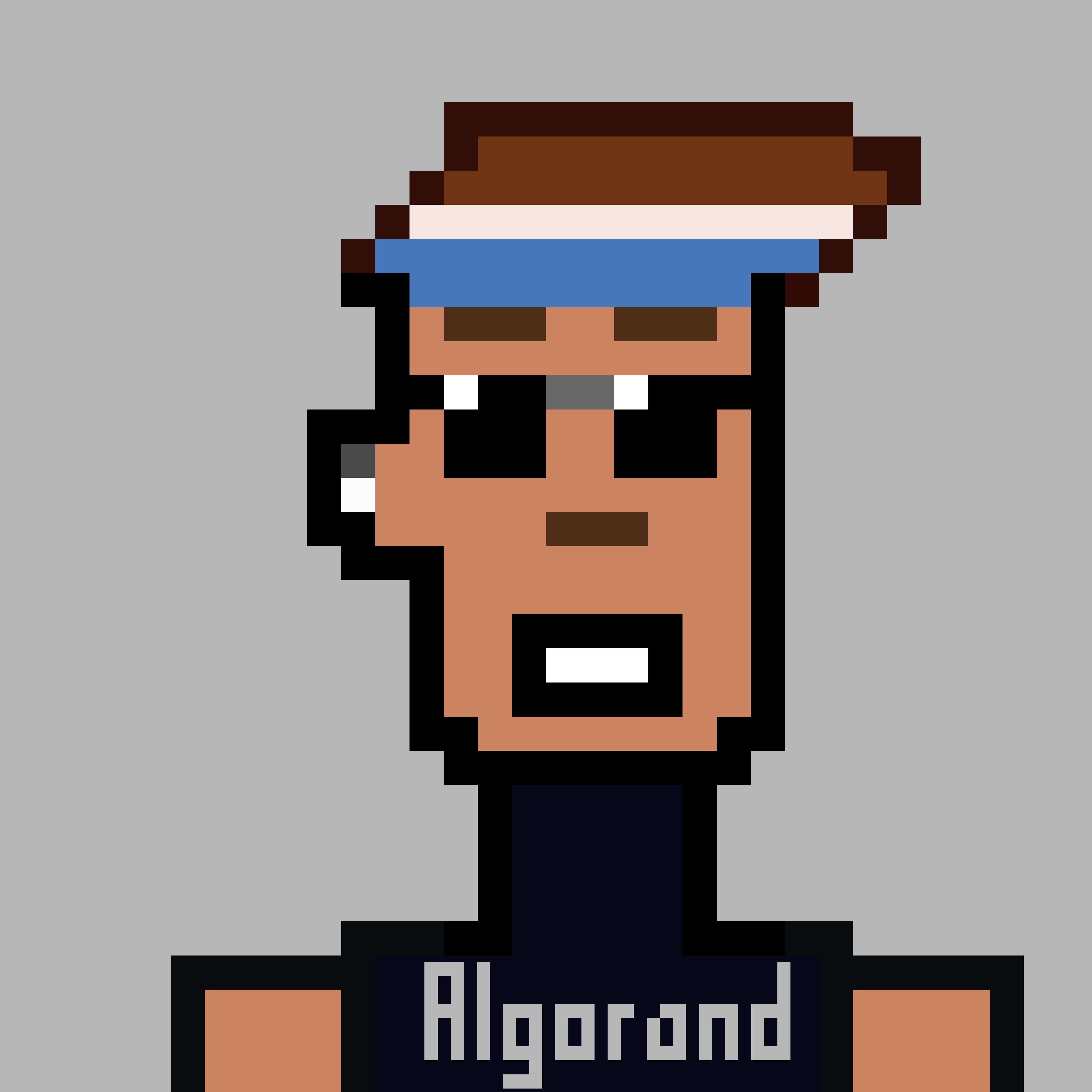 Algobud Zayn NFT on Algorand