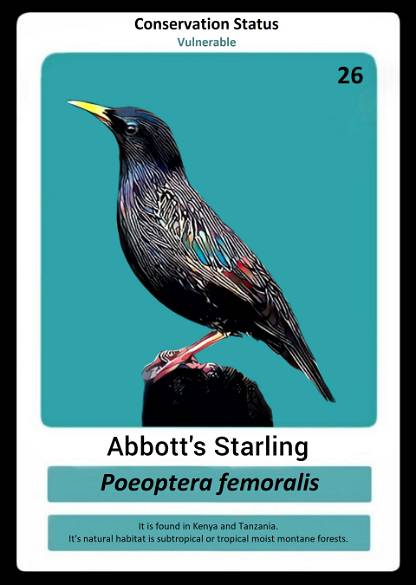 Abbotts Starling