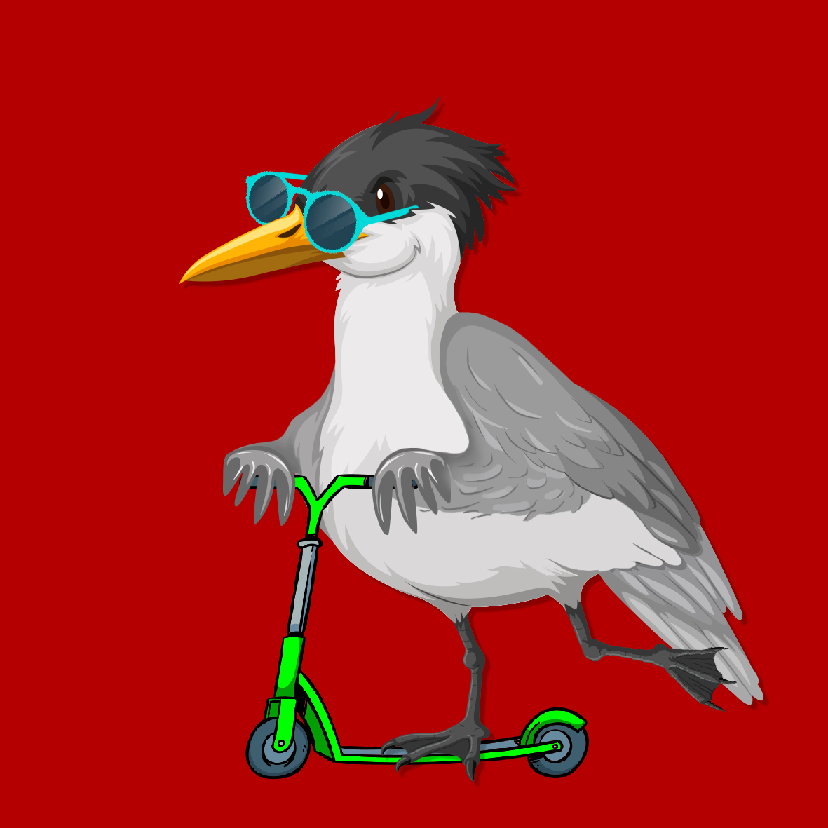 Algo Seagull #3 NFT on Algorand