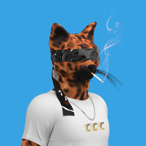 An image of CatClubCrew #002