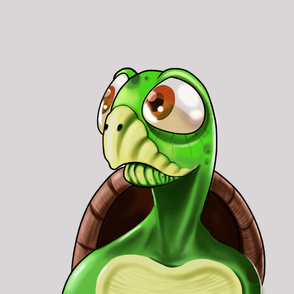 Algoturtles banner