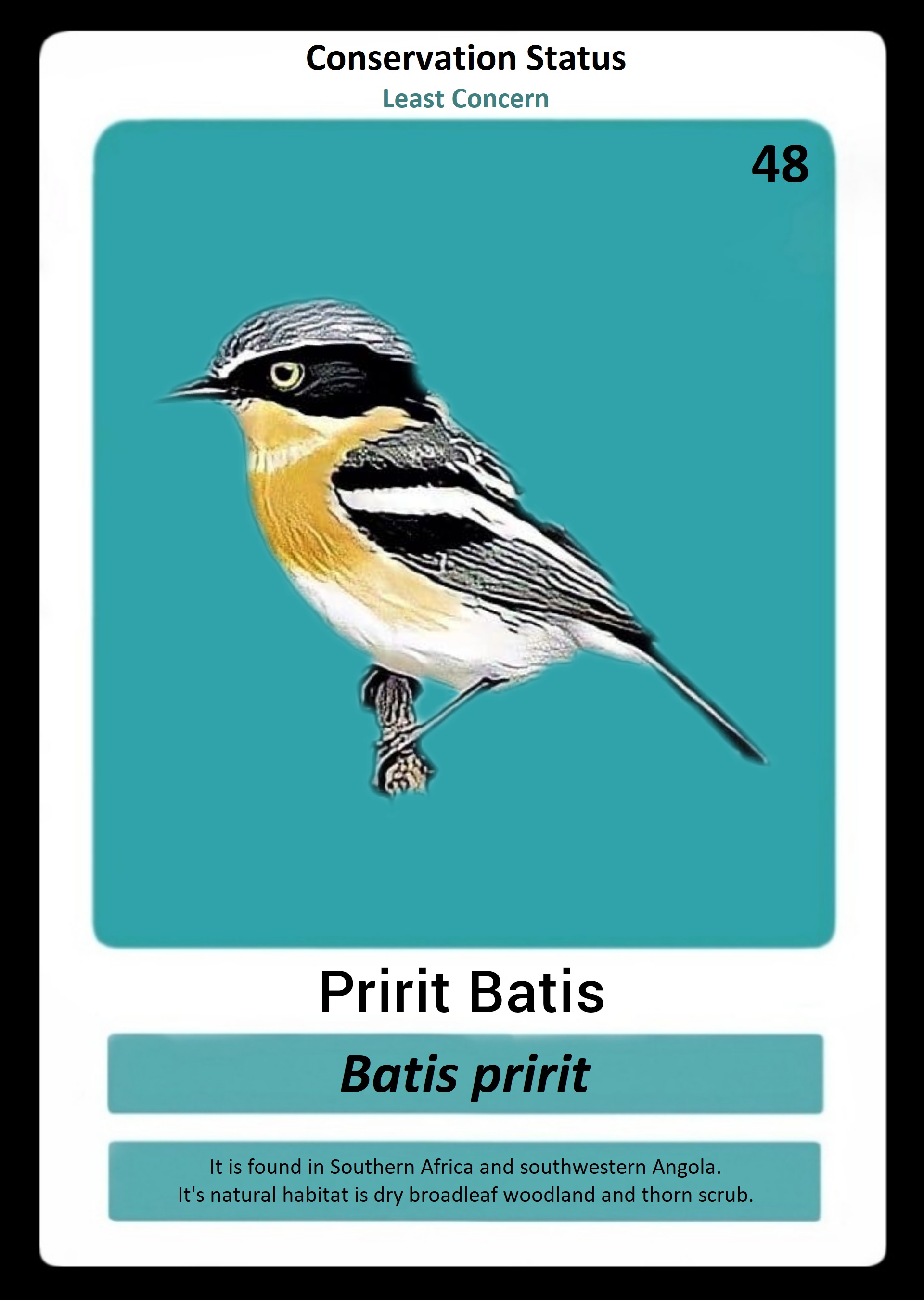 Pririt Batis NFT on Algorand