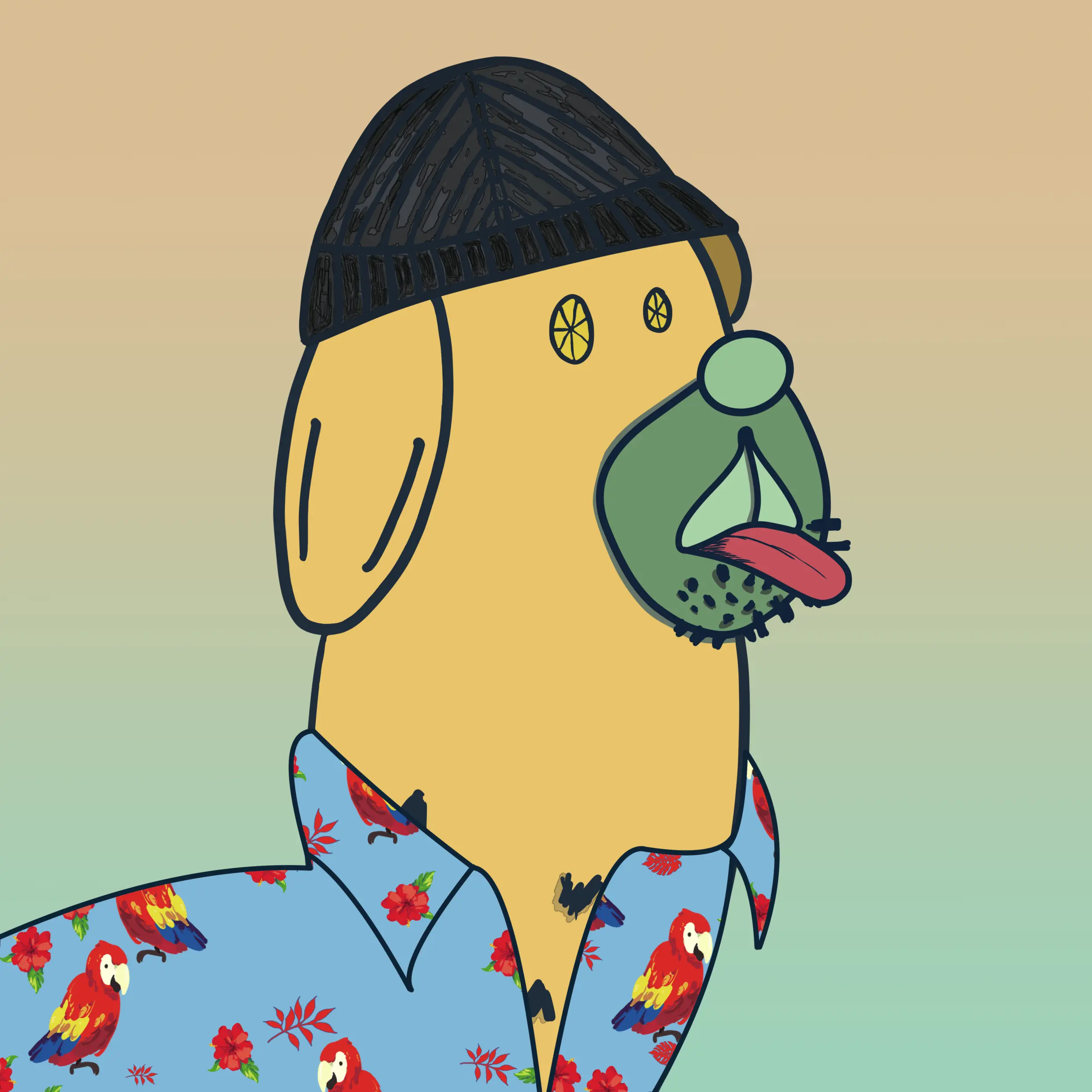 HODLR #1456 NFT on Algorand