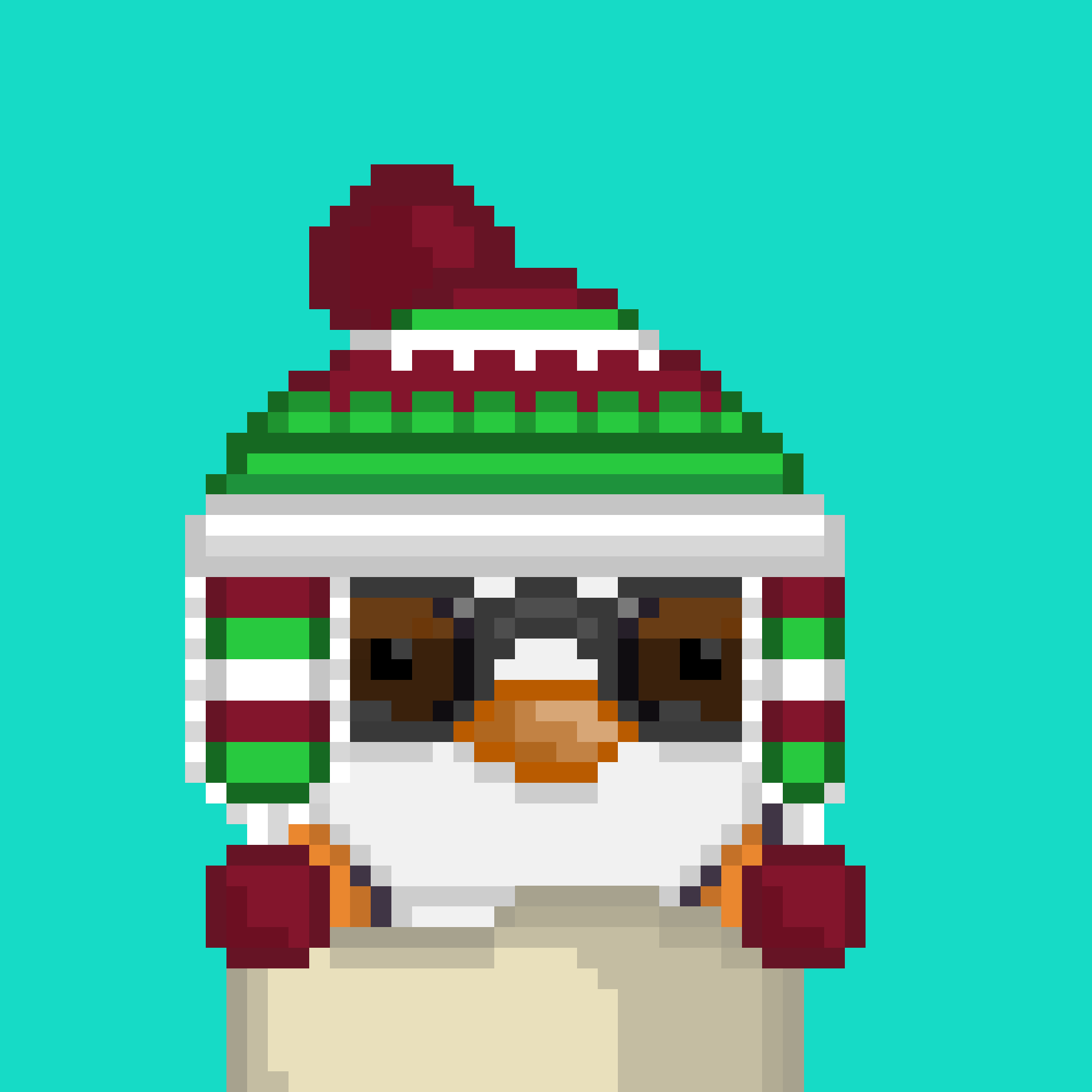 Algo Pengu #584 NFT on Algorand
