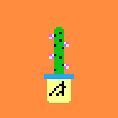 Rare Blooming Cactus