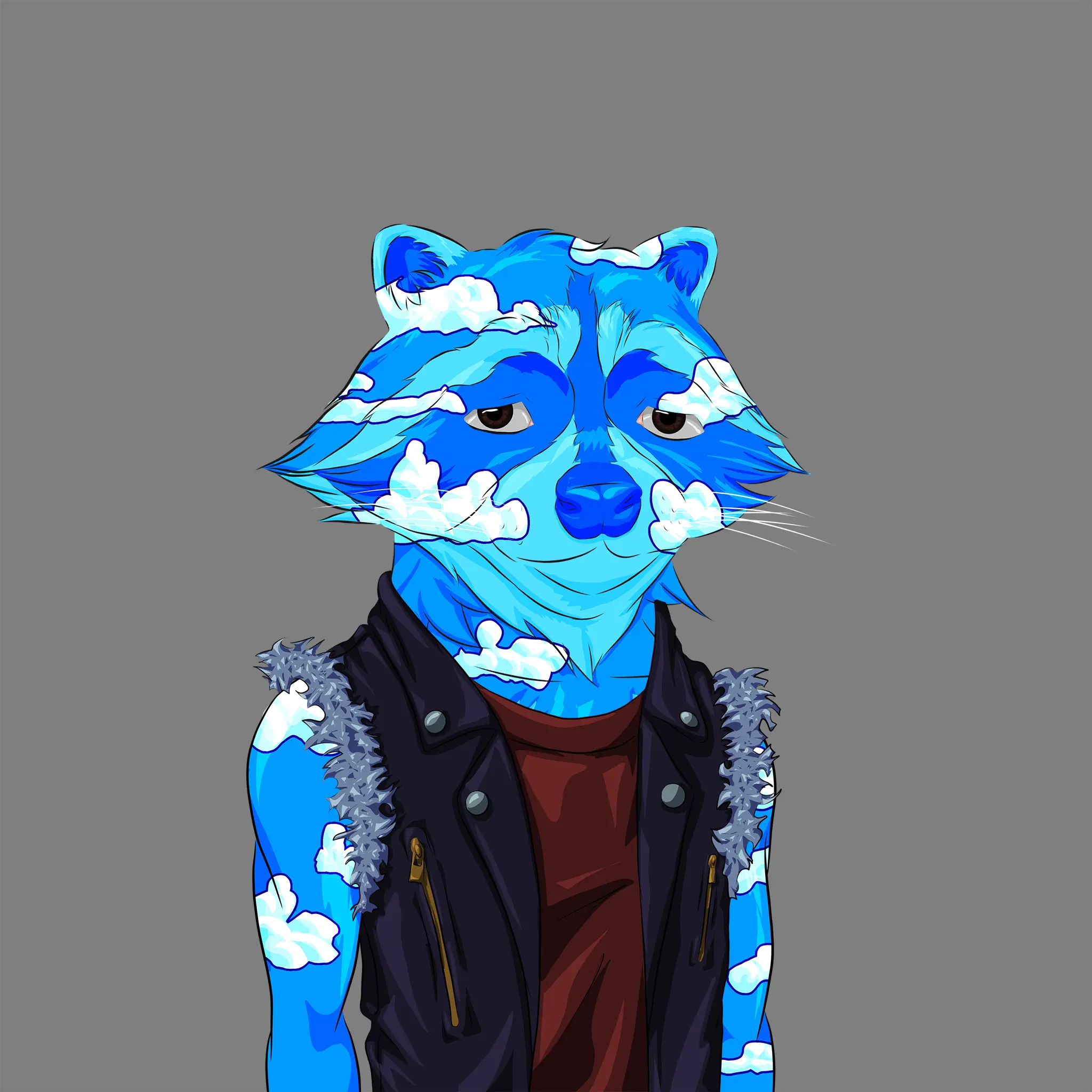 AlgoRaccoon #349 NFT on Algorand