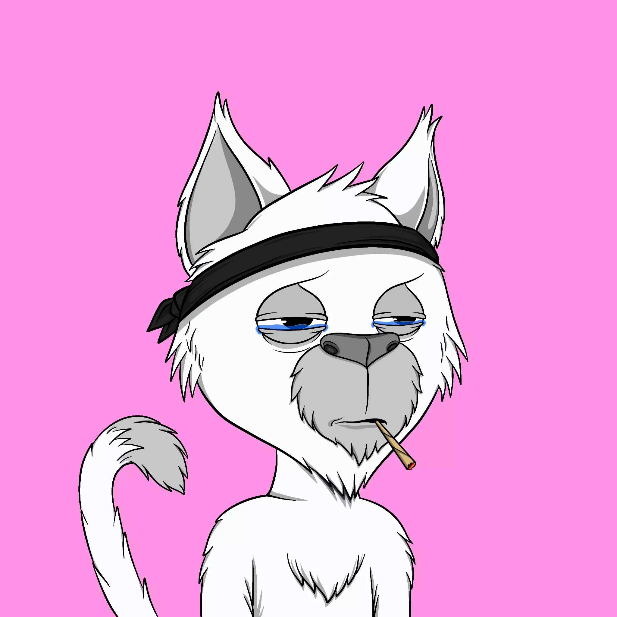 Totally Average Cats #513 NFT on Algorand