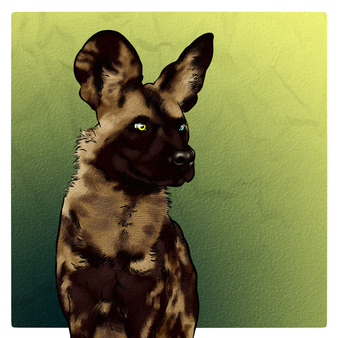 DOGFORK #030 NFT on Algorand