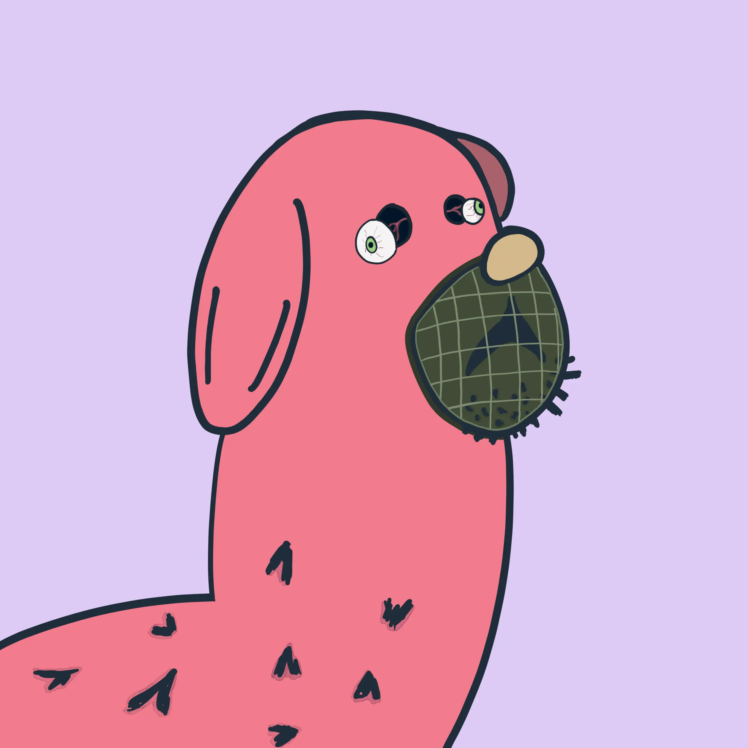 HODLR #79 NFT on Algorand