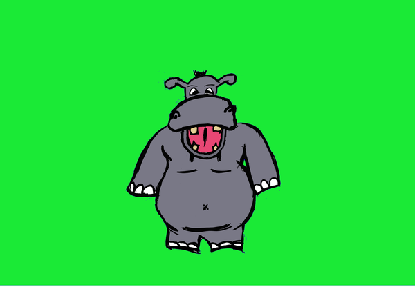 An image of Hippo 02