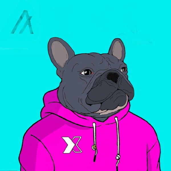 An image of Algo Frenchie #12 Baxter