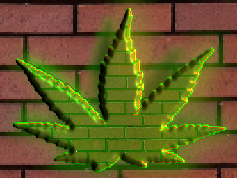Acid Algo Leaves 35 NFT on Algorand