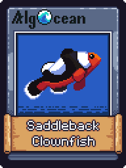 Saddleback Clownfish