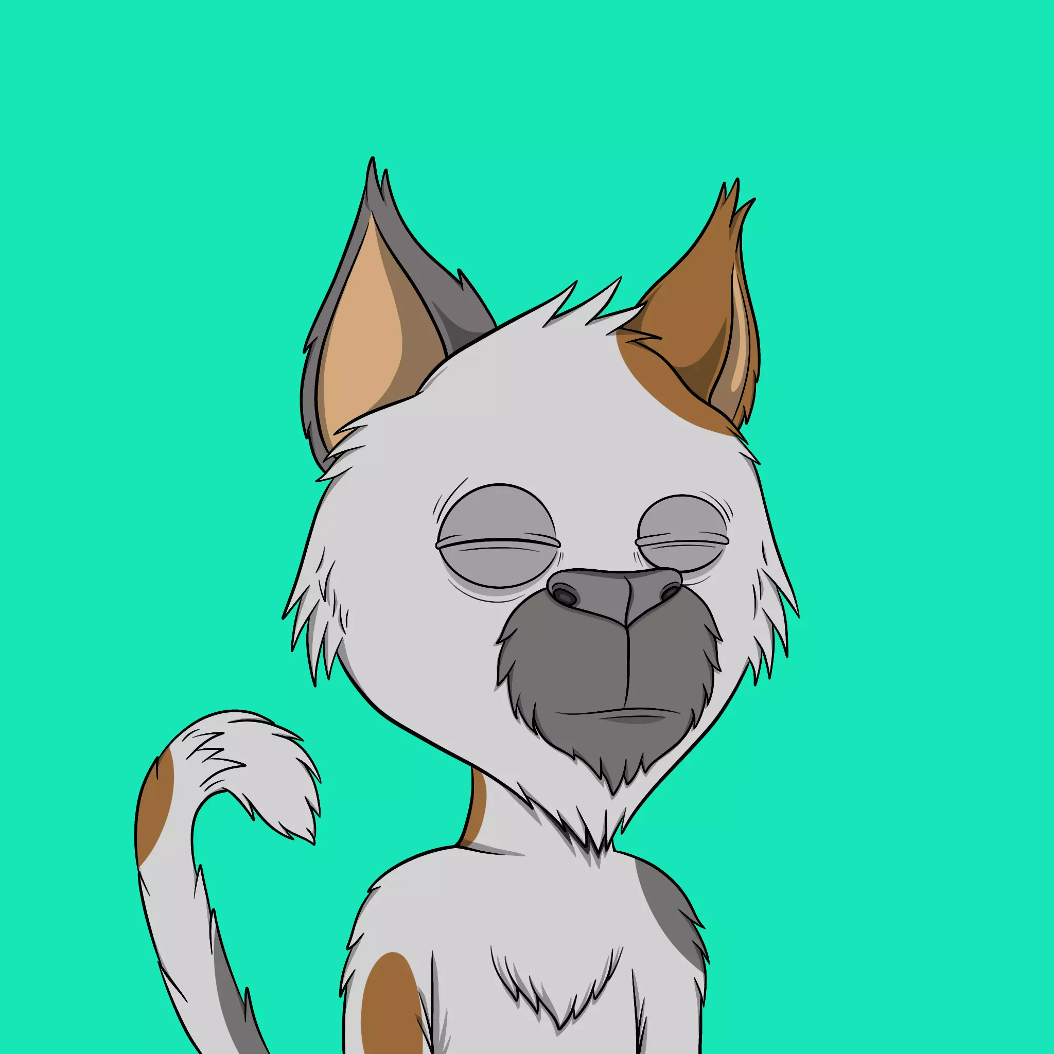Totally Average Cats #3266 NFT on Algorand