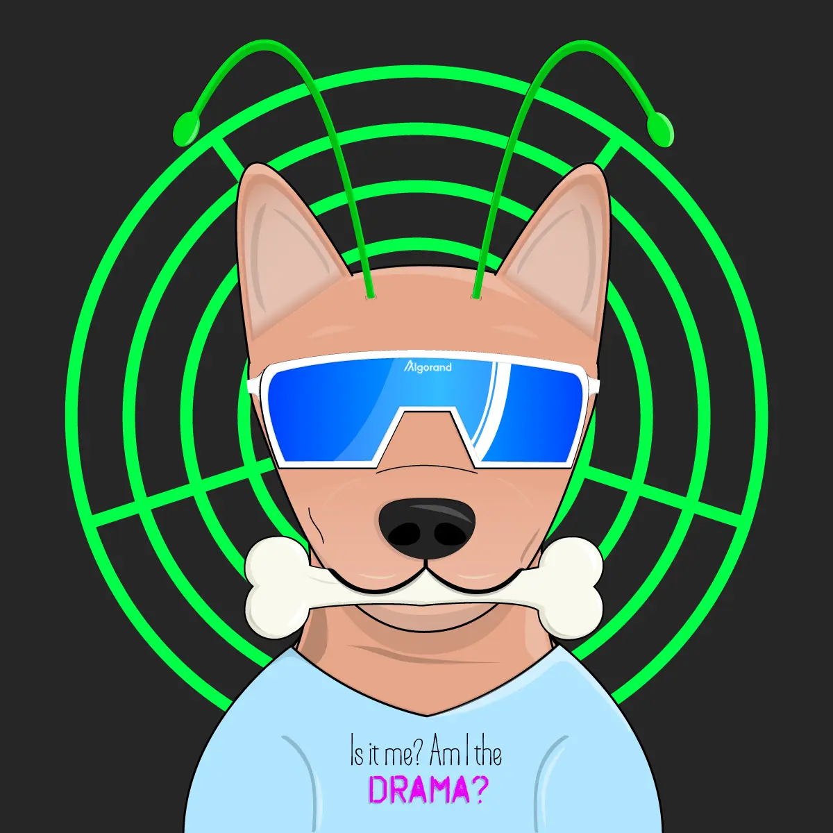 Bork Borks #282 NFT on Algorand