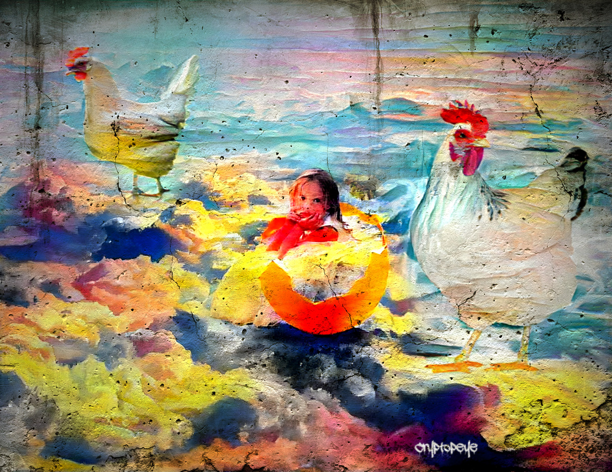 Chickens NFT on Algorand