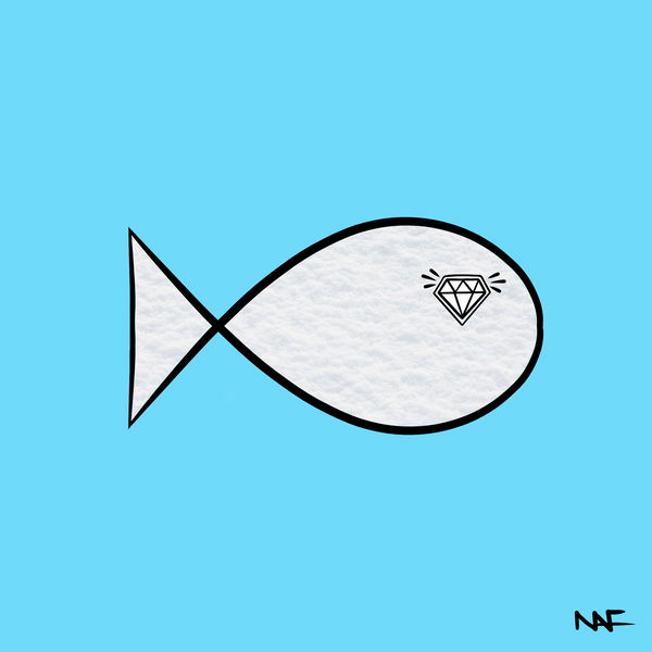 An image of NAF NotAFish