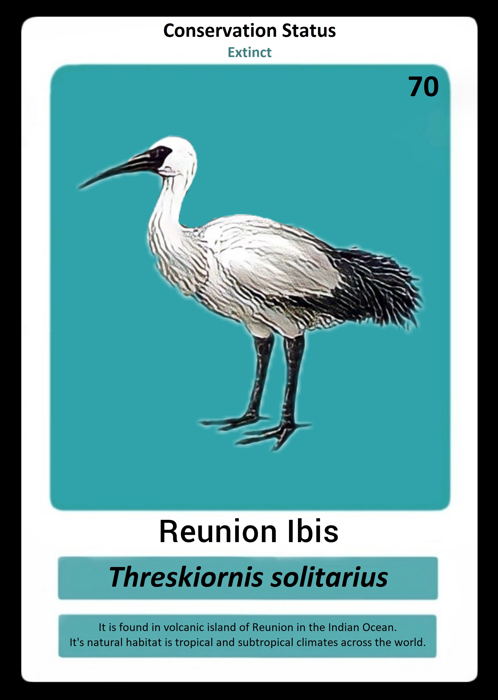 Reunion Ibis NFT on Algorand