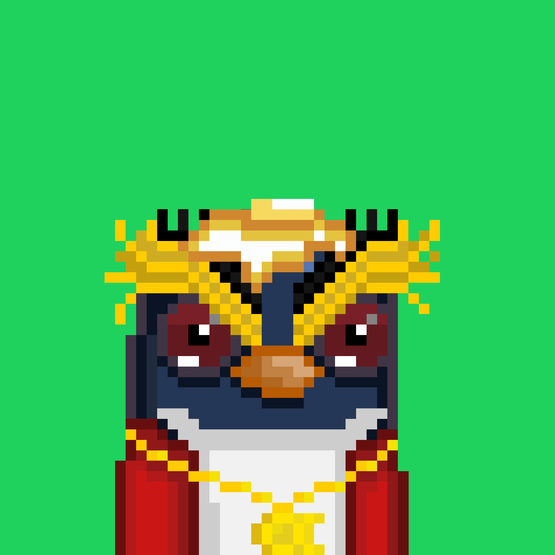 Algo Pengu #594 NFT on Algorand