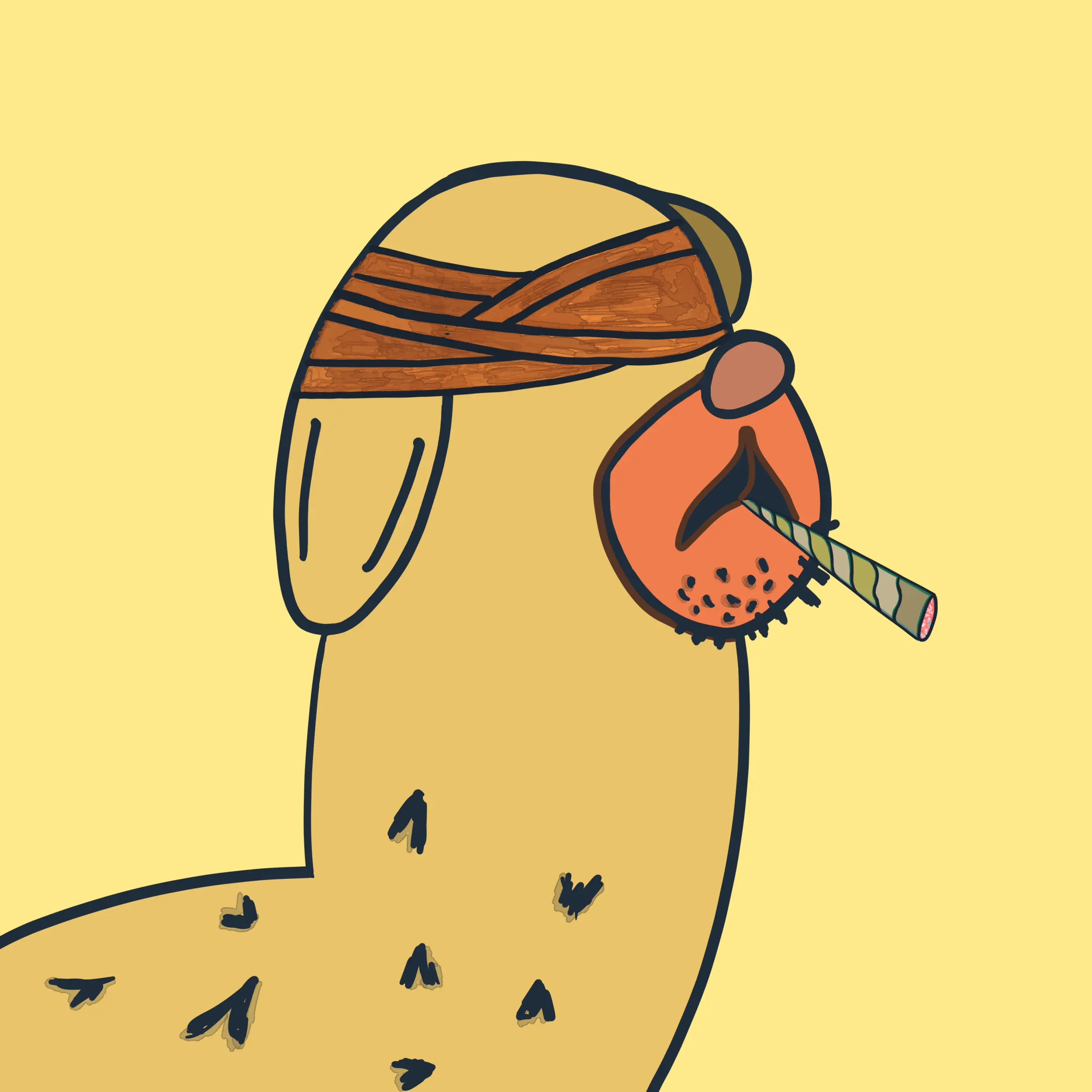 HODLR #73 NFT on Algorand