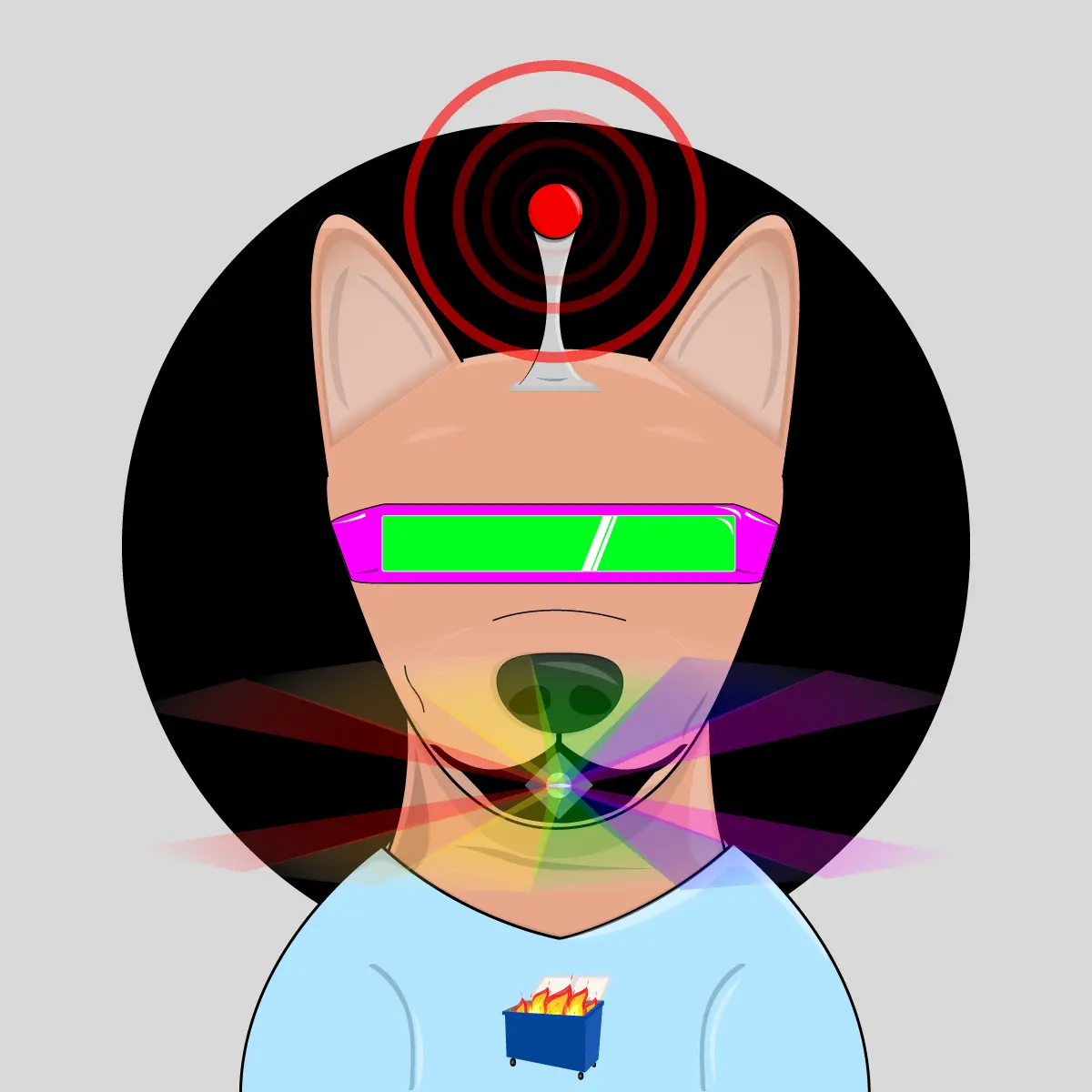 Bork Borks #300 NFT on Algorand