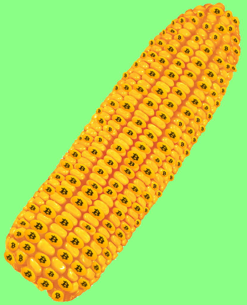 Bitcorn NFT on Algorand