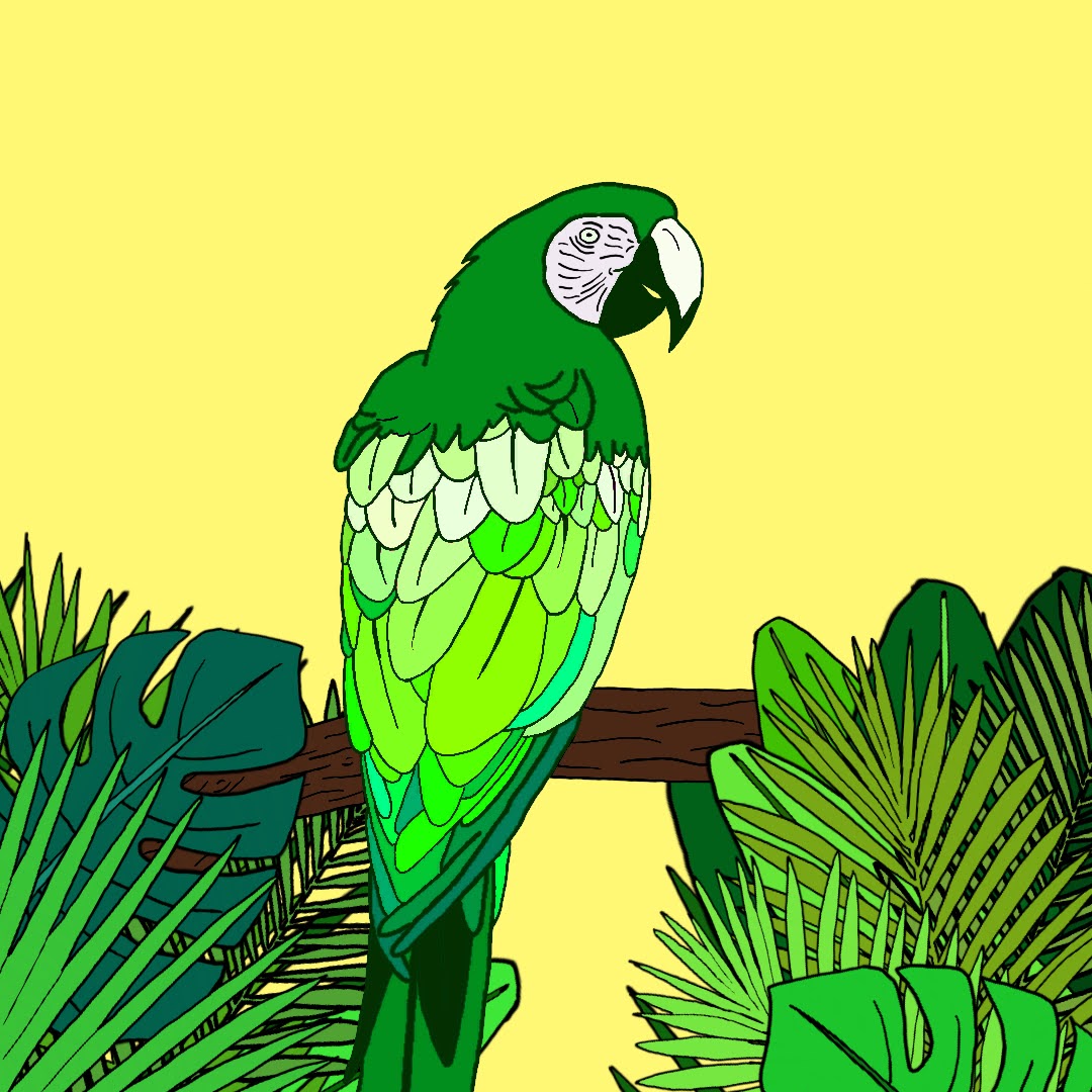 Algo_Parrot_013 NFT on Algorand